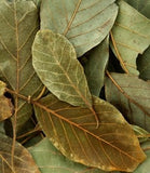 Dried Avocado Leaves 3 Oz Herbal Tea Healthy Face Hair Nail