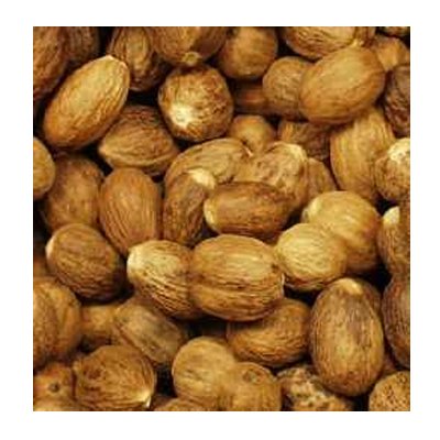 El Guapo Whole Nutmeg - Mexican Spice, 3 Cloves (Pack of 12)