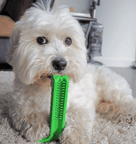 Dog Chewing Brush