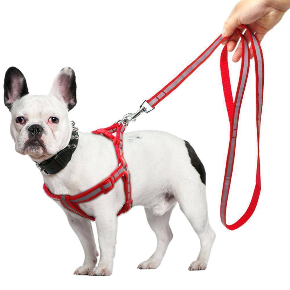 Reflective Dog Harness & Leash  Set