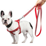 Reflective Dog Harness & Leash  Set