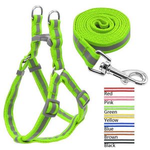 Reflective Dog Harness & Leash  Set