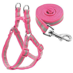 Reflective Dog Harness & Leash  Set